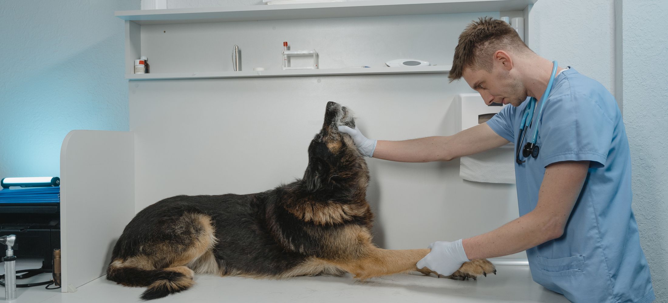 Veterinaria Patitas